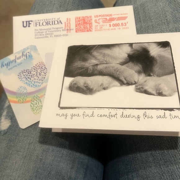 It’s been 1 year Farewell My Love, my best friend of 20yr s - Picture 6 of 9